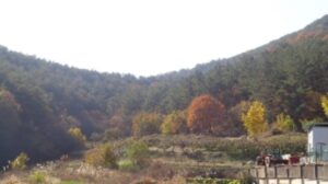 케이핫 법원경매 02월 1주차 정보입니다