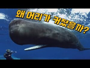 2023. 02. 14. 케이핫 오늘의 Youtube 인기 핫동영상 HOT 5