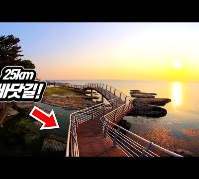 03월 09일  유튜브 핫동영상 HOT 5