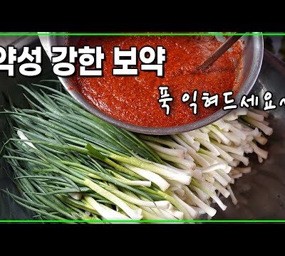 03월 14일  유튜브 핫동영상 HOT 5