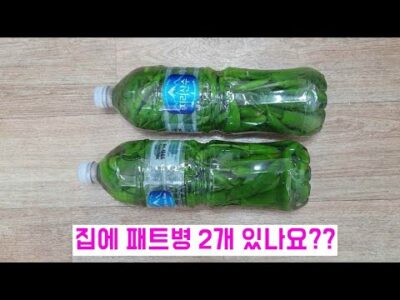 2023. 03. 30.  유튜브 인기 동영상 HOT 5