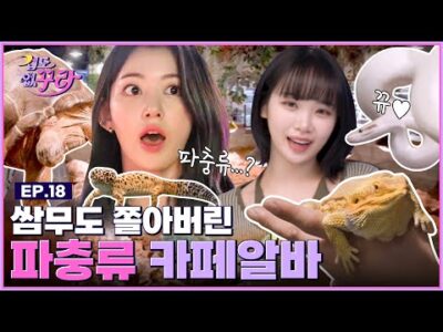 금일의 유튜브 HOT 5 – 2023. 03. 31.