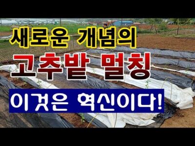 금일의 유튜브 TOP 5 – 2023. 04. 21.