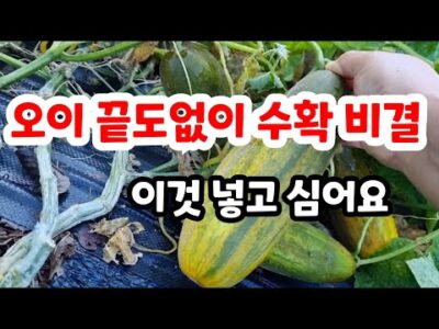 금일의 유튜브 TOP 5 – 2023. 04. 27.
