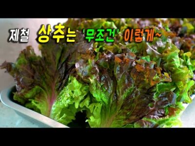 오늘의 Youtube HOT 5 – 2023. 05. 21.