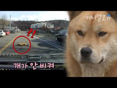 오늘의 Youtube TOP 5 – 2023. 06. 14.