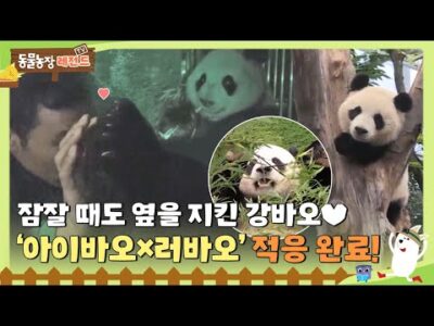 2023. 06. 22.  Youtube 인기 동영상 HOT 5