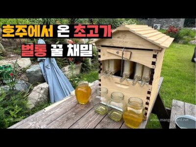 06월 23일 금일의 Youtube 동영상 HOT 5
