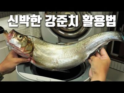 06월 26일 오늘의 유튜브 동영상 TOP 5