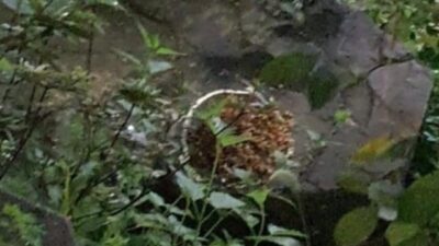 2023. 07. 22.  소식 TOP 5
