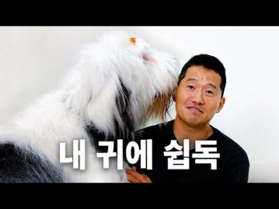 07월 12일 금일의 유튜브 동영상 TOP 5