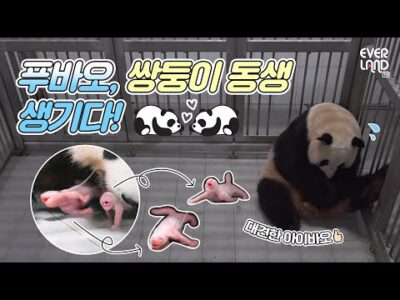 07월 12일  Youtube 동영상 TOP 5