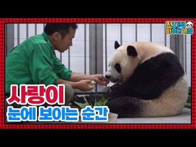 금일의 유튜브 HOT 5 – 2023. 07. 13.