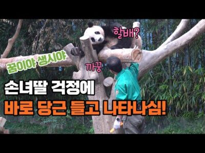 오늘의 Youtube HOT 5 – 2023. 07. 18.