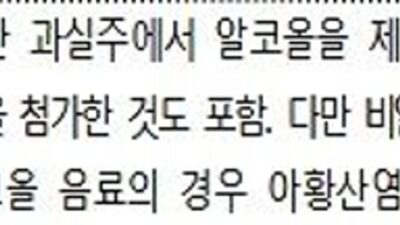 과실주로 제조한 비알코올 음료 정의, 아황산염류 잔류기준 신설 등 외 금일의 뉴스 HOT 5