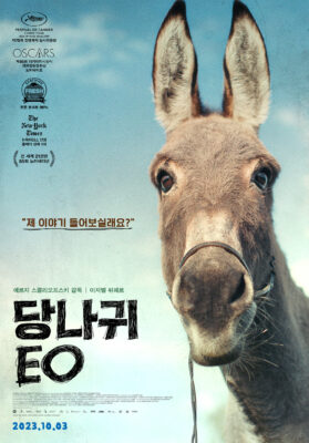 당나귀 EO 당나귀 EO