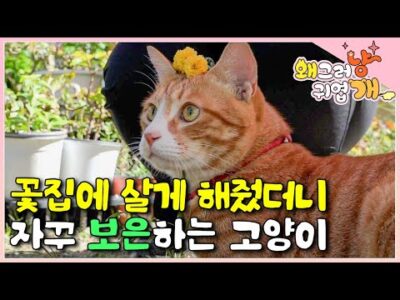 금일의 Youtube HOT 5 – 2023. 10. 30.