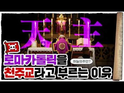 12월 06일  유튜브 동영상 HOT 5