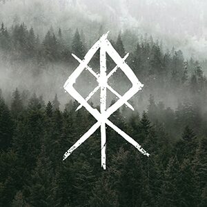 바이킹 라이즈 바이킹 라이즈