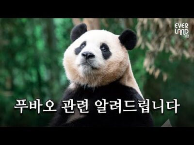 유튜브 HOT 5 – 2024. 01. 24.