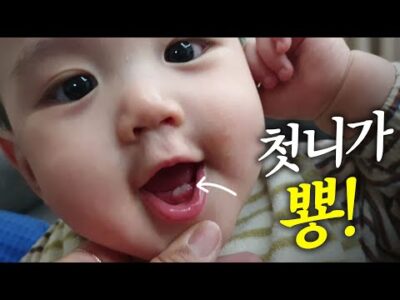 유튜브 TOP 5 – 2024. 01. 25.