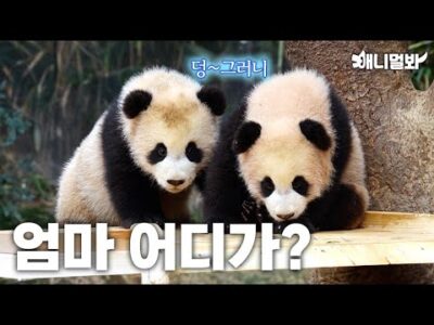 2024. 02. 25.  유튜브 인기 동영상 HOT 5