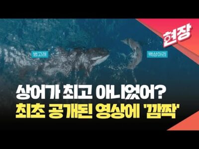 2024. 03. 10. 오늘의 유튜브 뜨는 동영상 TOP 5
