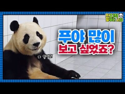 04월 16일  Youtube 동영상 HOT 5