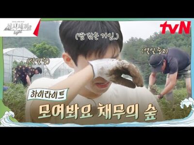 2024. 09. 28. 오늘의 유튜브 뜨는 동영상 HOT 5