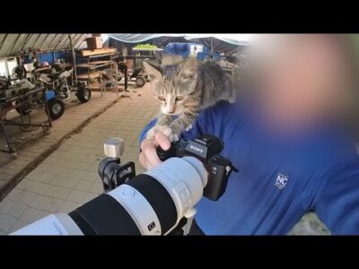 Youtube TOP 5 – 2024. 10. 18.