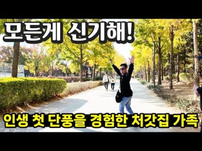 2024. 11. 19.  유튜브 뜨는 동영상 TOP 5