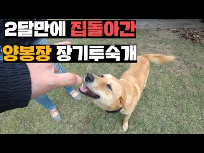 2024. 11. 14. 오늘의 유튜브 인기 동영상 HOT 5