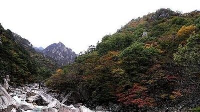 토픽 HOT 10 – 2025. 04. 06.